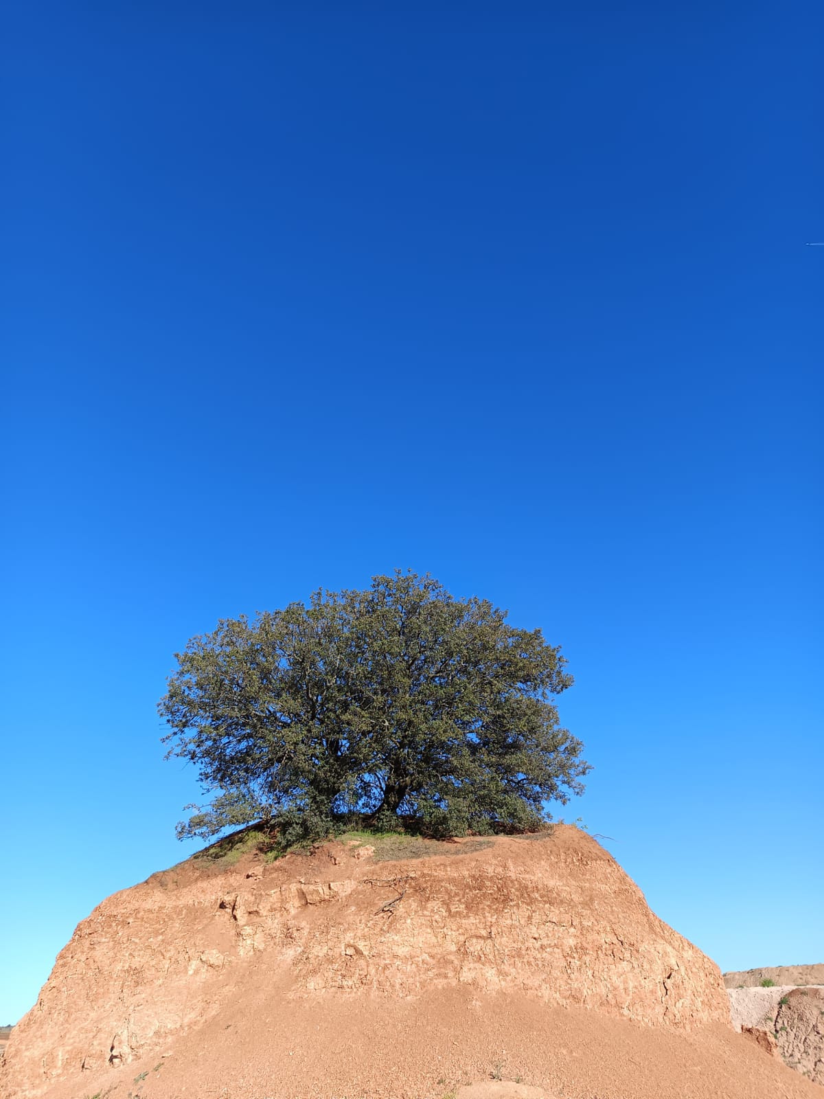 Paisaje